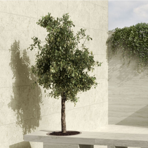 比托姆石紋磚-礫岩米